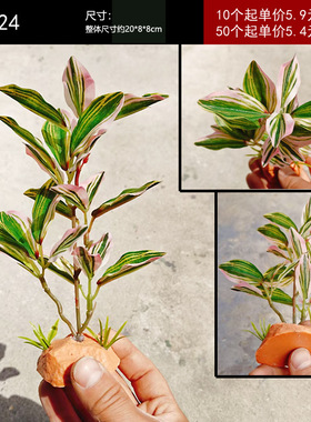 绿鱼缸造景绿植水生植物水陆缸爬宠饲养箱仿真装饰绿植配材爬虫盒