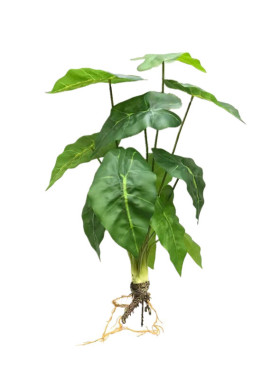 仿真植物假绿植海棠仿真绿植造景