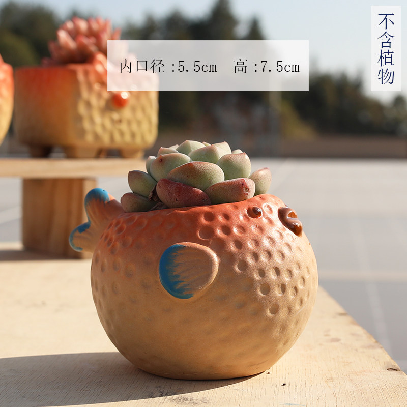 多肉花盆陶瓷可爱创意个性手绘小鱼卡通动物磨砂粗陶桌面特价清仓,淘宝优惠券,粉丝福利购,淘宝优惠卷