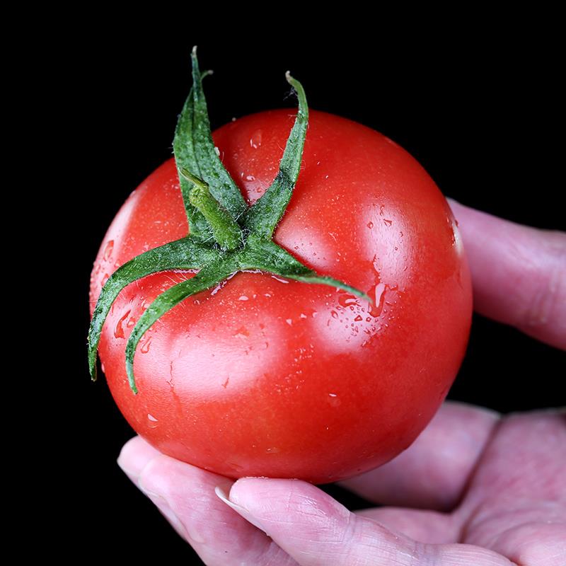 攀枝花普罗旺斯西红柿新鲜蔬菜带箱10斤农家自然熟生吃沙瓤小番茄-图1