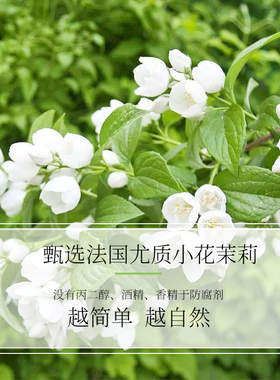 柔嫩肌肤天然植物进口新品纯露