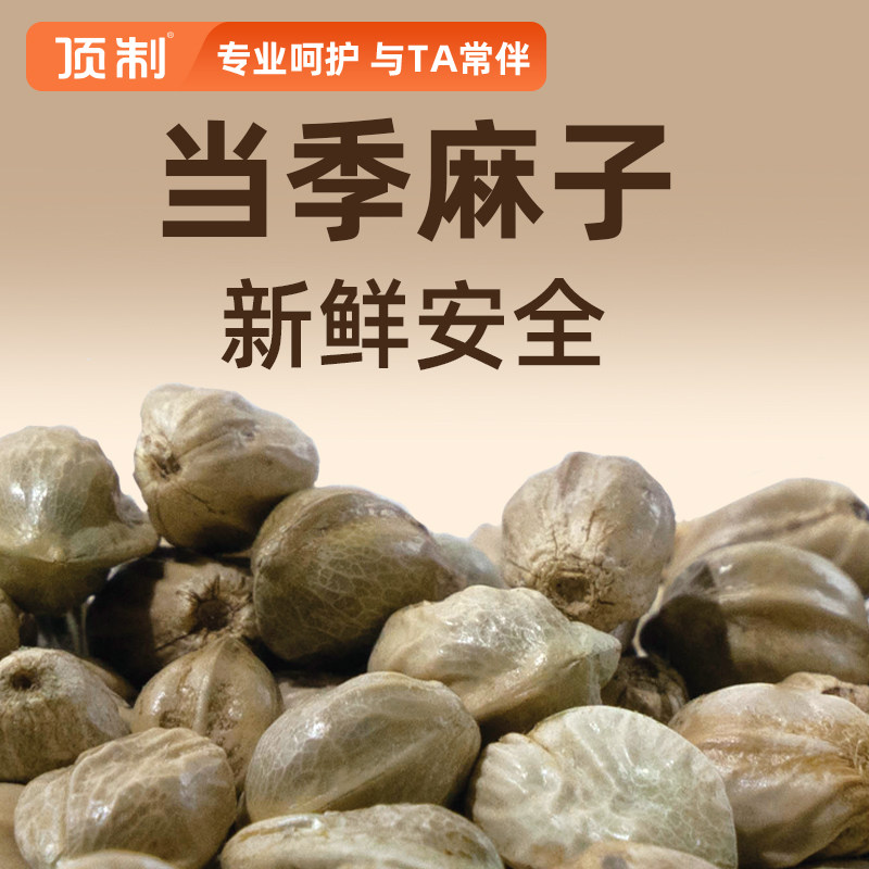 纸壳麻子鹦鹉粮牡丹粮小太阳瓜子大专用奖励火麻仁子纸皮零食玄凤,淘宝优惠券,粉丝福利购,淘宝优惠卷