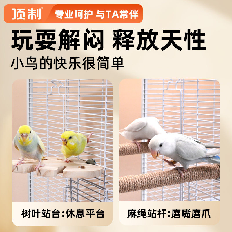 天然木质鸟玩具站台站杆站架虎皮玄凤牡丹专用磨牙磨爪鸟笼装饰,淘宝优惠券,粉丝福利购,淘宝优惠卷