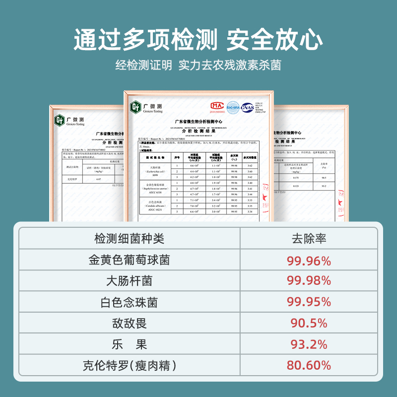 德国蓝宝果蔬清洗机家用食材净化洗菜器蔬菜去除农药洗肉水果卫士 - 图3