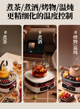 德国蓝宝围炉煮茶悬壶新款电陶炉