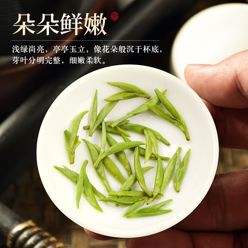 正宗信阳原产2023特级aa明前毛尖茶 赛八仙信阳毛尖