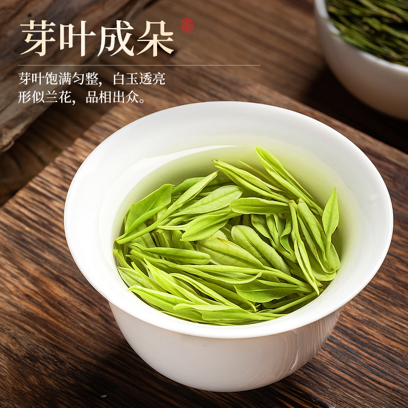 赛八仙安吉白茶2024新茶特级明前绿茶珍稀白茶散装茶叶礼盒装500g