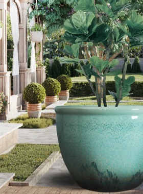 景德镇陶瓷大花盆碗莲荷花铁树