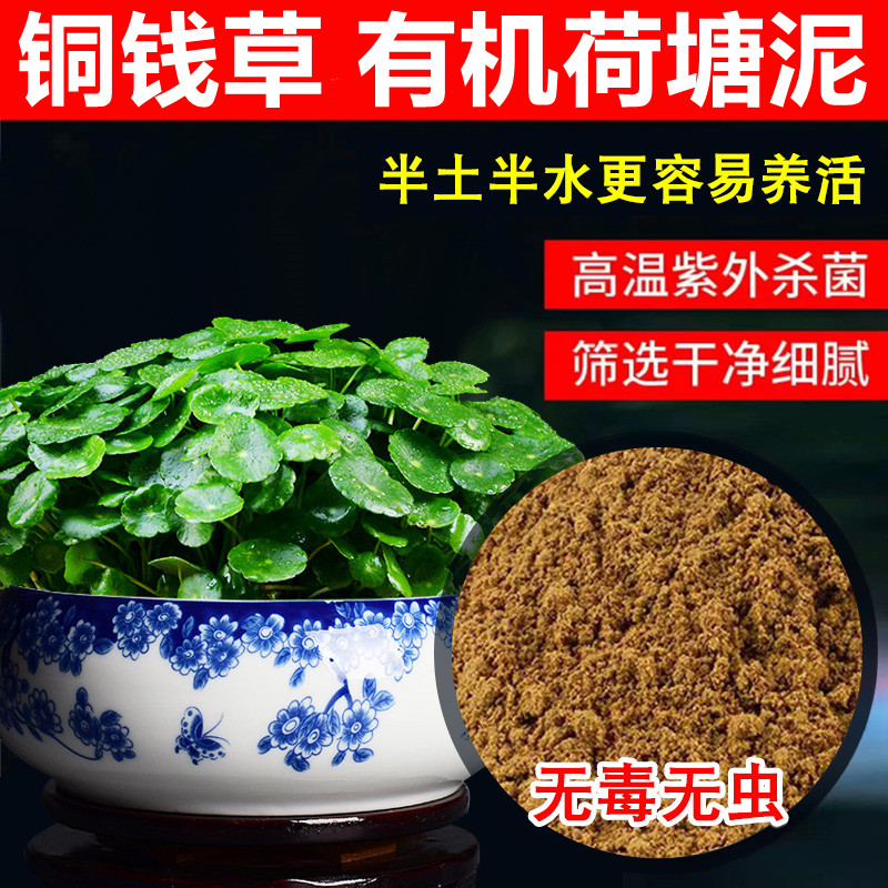 荷塘泥碗莲专用泥土何花塘泥铜钱专用土草淤泥有机莲花河泥池塘泥 - 图0