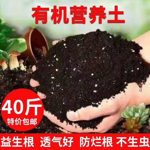 营养土养花通用专用种菜土壤种植土花卉绿萝土多肉家用种花泥炭土 - 图0