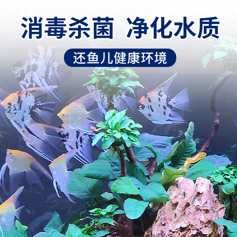 亚甲基蓝消毒水族专用治鱼缸水霉病杀菌烂身烂尾白点净非鱼药金鱼 - 图2