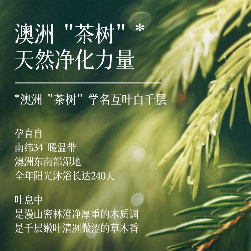 【新品】好分贝森呼吸道茶树助绿薄荷 NaturesAnswer海外香熏精油