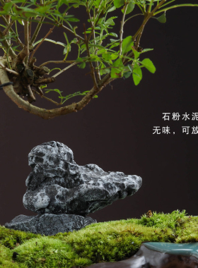 创意仿石头假山摆件花盆园艺鱼缸