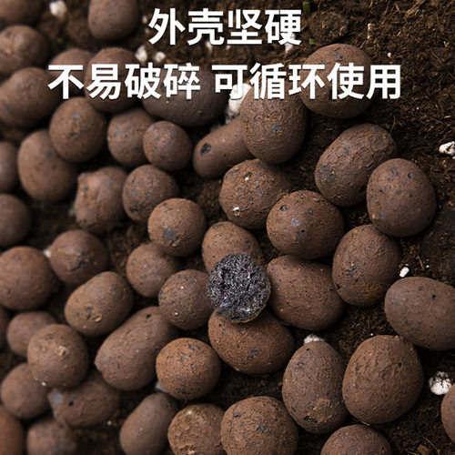 陶粒垫底养花专用多肉营养土花盆花卉回填鱼缸水培铺面火山石颗粒 - 图2