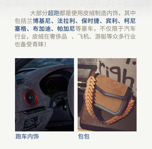 06-11款Lexus凌志 is300 350 250右軑仪表台避光垫遮阳防晒反光垫 - 图3