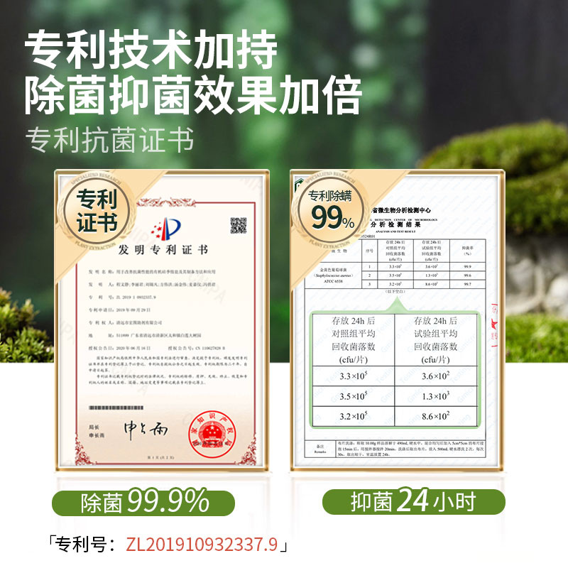 88vip【英国国家美术馆联名】蔬果园青蒿精油除菌内衣洗500g