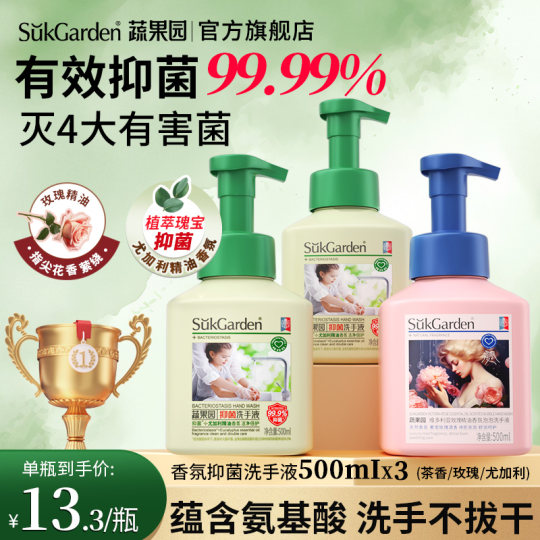 Antibacterial 99.99%丨Moisturizing Bubble Hand Sanitizer