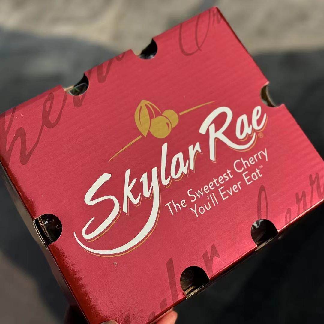 【现货】斯凯拉雷天空之城Skylar Rae黄车厘子整箱4斤大果脆甜 - 图3