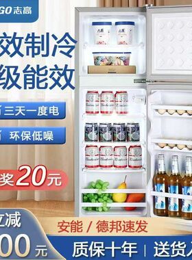冰箱车家用小型双开门大