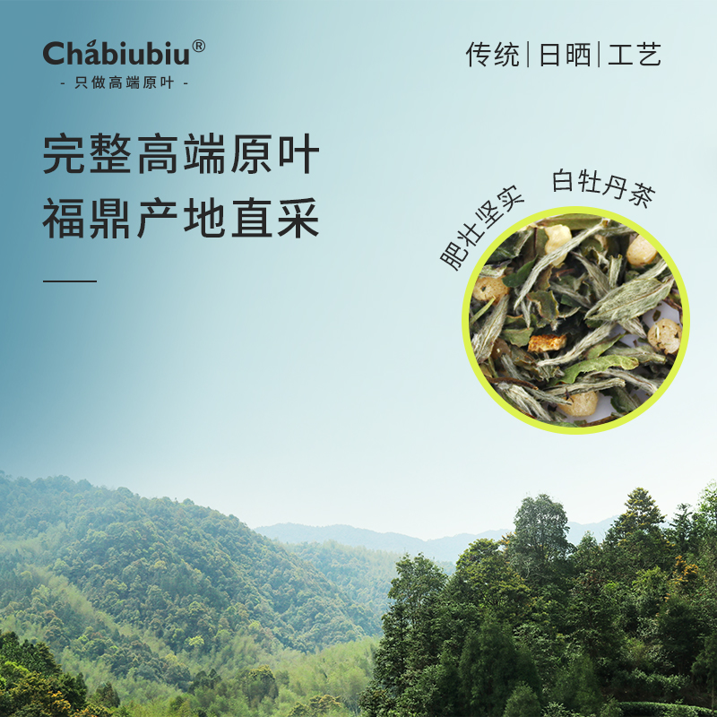 Chabiubiu柚子白茶茉莉花茶叶水果茶冷泡茶袋泡茶包茶饮品秋-图1