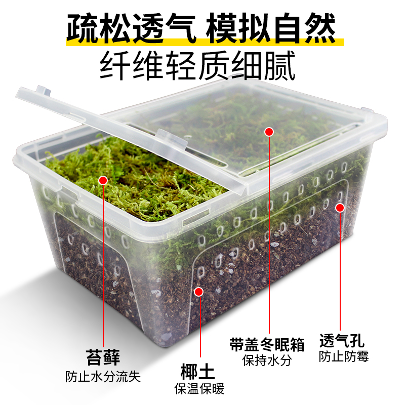 乌龟冬眠专用椰土冬眠用品过冬装备苔藓沙土保温恒温箱乌龟冬眠箱