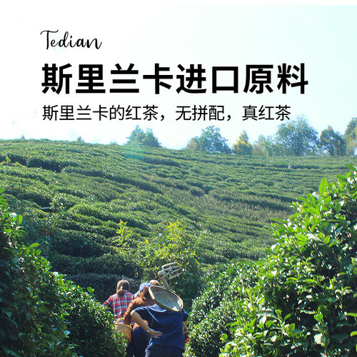 特典锡兰红茶斯里兰卡红茶粉奶茶店专用红茶茶叶港式冻柠茶柠檬茶 - 图0