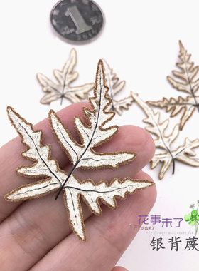 秋叶集干花真树叶贴画枫叶银杏儿童手工书签卡片明信片植物标本