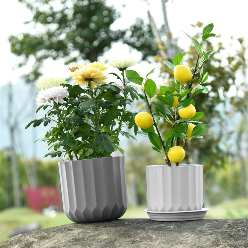 全新北欧简约条纹加厚塑树脂花盆带托蝴蝶兰绿萝多肉彩色塑料花盆,淘宝优惠券,粉丝福利购,淘宝优惠卷