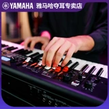 Yamaha, teclast, электронный орган, синтезированный синтезатор, 61 клавиш, 88 клавиш