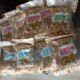 Longyan Peanuts 210g*5 bags Chai Drama snacks supermarket