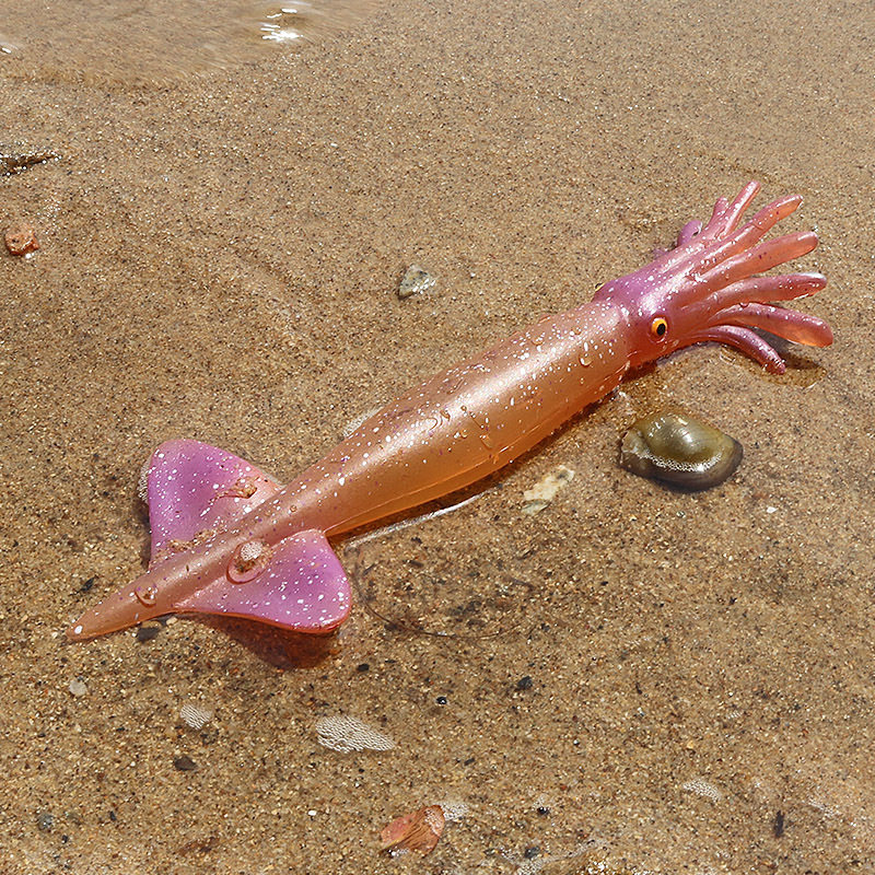 儿童认知海洋动物模型玩具仿真章鱼八爪鱼鱿鱼乌贼鱼缸装饰摆件,淘宝优惠券,粉丝福利购,淘宝优惠卷