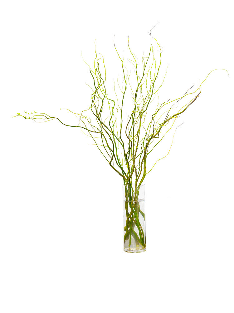 龙柳鲜枝插花客厅水培植物花卉室内鲜花四季好养活水养干枝支雪柳 - 小编推荐 - WePost 全民代运 - 马来西亚中国淘宝代运与集运专家