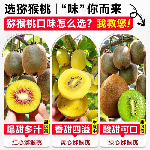 猕猴桃树果苗红心软枣猕猴桃苗徐香嫁接南北方种植庭院水果树果苗 - 图2