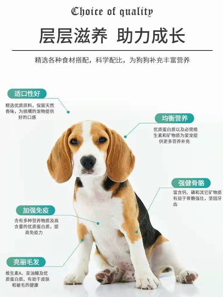 菲爱一生狗粮幼犬成犬小型犬通用型犬粮泰迪博美比熊专用全价犬粮 - 图1