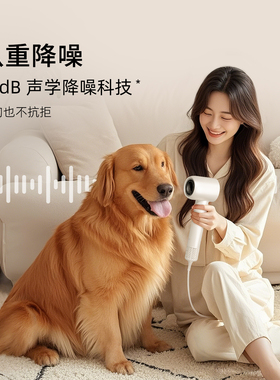 VGO高速吹风机家用大风力负离子中空风洞电吹风礼物专用风筒