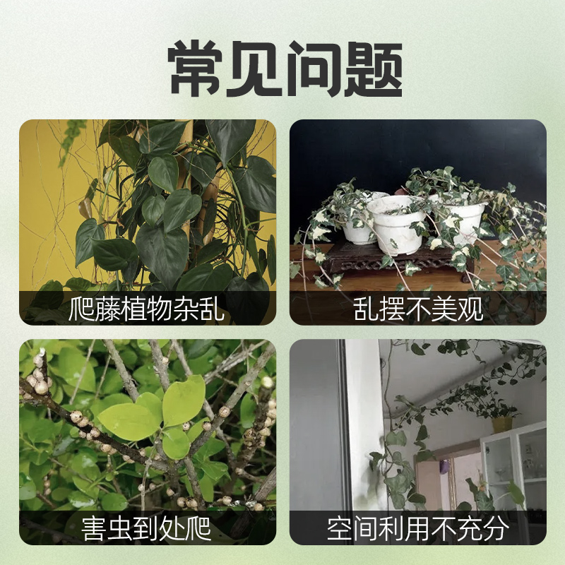 吊兰专用花盆垂吊植物悬挂式金鱼油画吊篮挂钩阳台自吸水懒人塑料