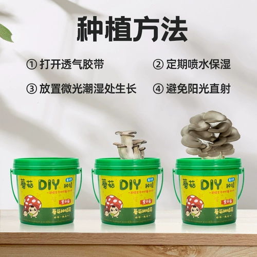 Грибные культивирование сумка черная планета грибные грибные грибные грибные грибные бактерий -бактерий самообеспечение