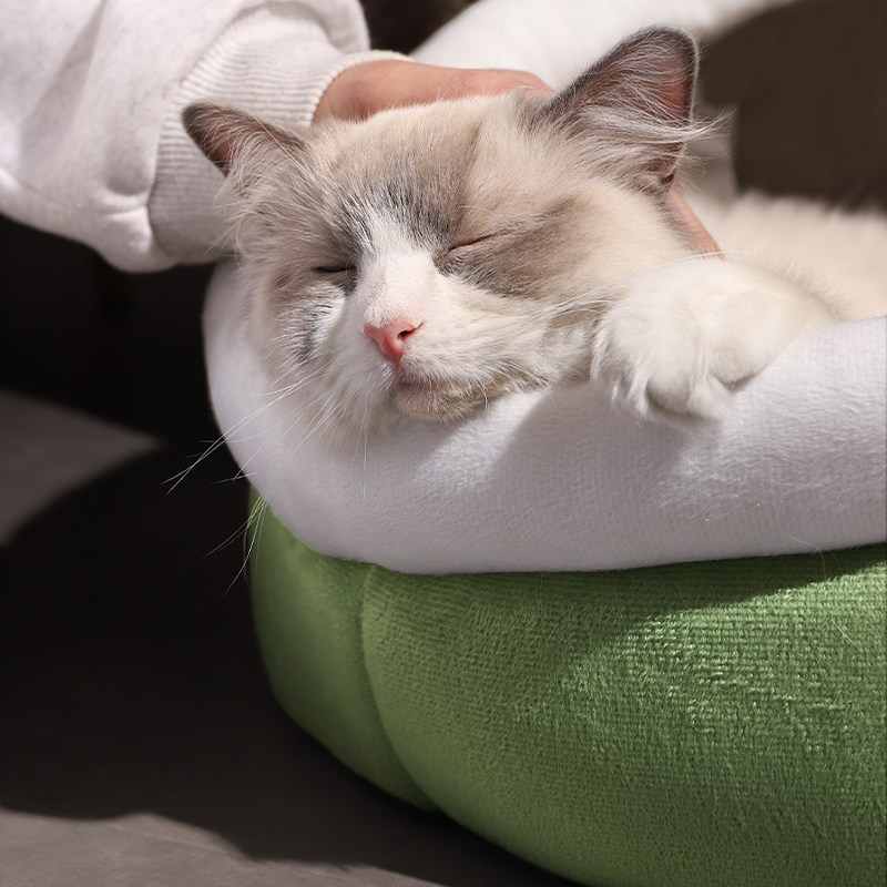 速发猫季四式通用冬窝保暖猫咪用品半封闭季猫屋睡觉的床垫子狗窝,淘宝优惠券,粉丝福利购,淘宝优惠卷