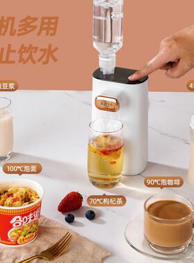 饮水器抽水可加热即热式饮水机迷你便携速热开水机家用台式抽水小