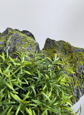 仿真青苔泡沫石头造景室内庭院假山舞台装饰品苔藓假石头道具摆件