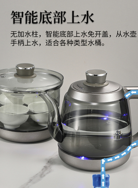 纯钛烟灰色玻璃两孔烧水壶双孔