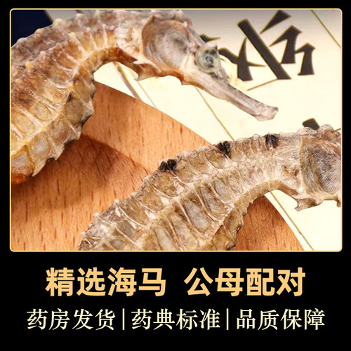 海马干货正品三斑海马中药材一公一母中药饮片海马药材泡酒料煲汤 - 图1