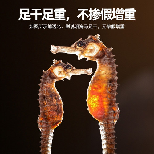 海马干货正品三斑海马中药材一公一母中药饮片海马药材泡酒料煲汤 - 图2
