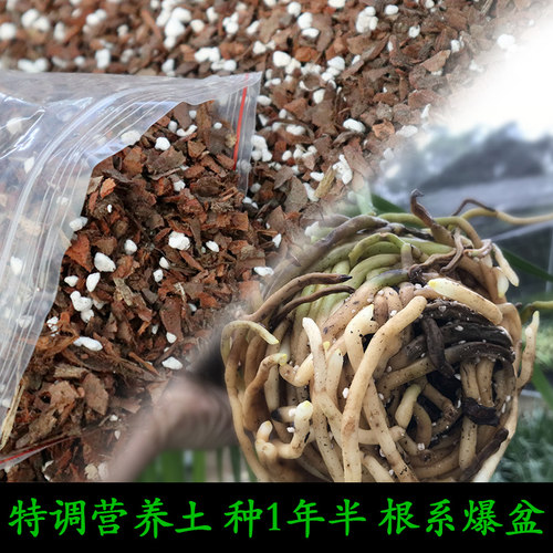 通用型兰花土兰科专用营养君子兰铁皮石斛基质松树皮植料透气养根 - 图2