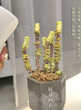 喷雾瓶子空瓶大容量爽肤水喷壶