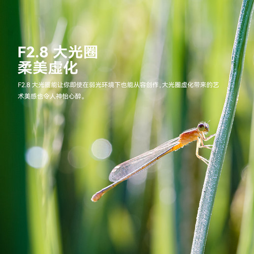 铭匠光学40mm f2.8微距镜头适用尼康Z松下M43佳能富士X索尼E卡口 - 图2