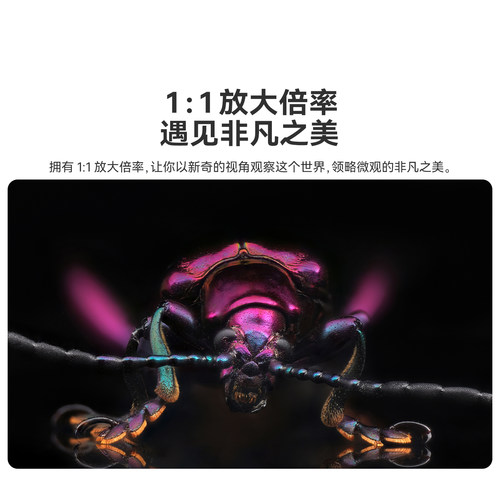 铭匠光学40mm f2.8微距镜头适用尼康Z松下M43佳能富士X索尼E卡口 - 图0