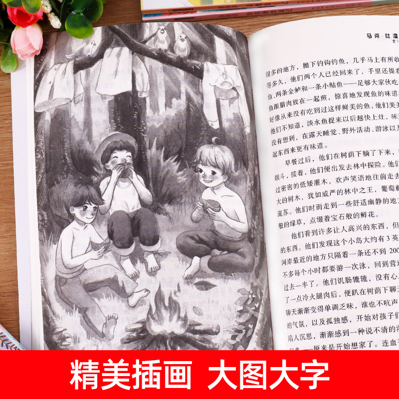 全套4册六年级下册必读的正版课外书原著完整版鲁滨逊漂流记汤姆索亚历险记爱丽丝漫游奇境尼尔斯骑鹅旅行记老师推荐快乐读书吧-图2