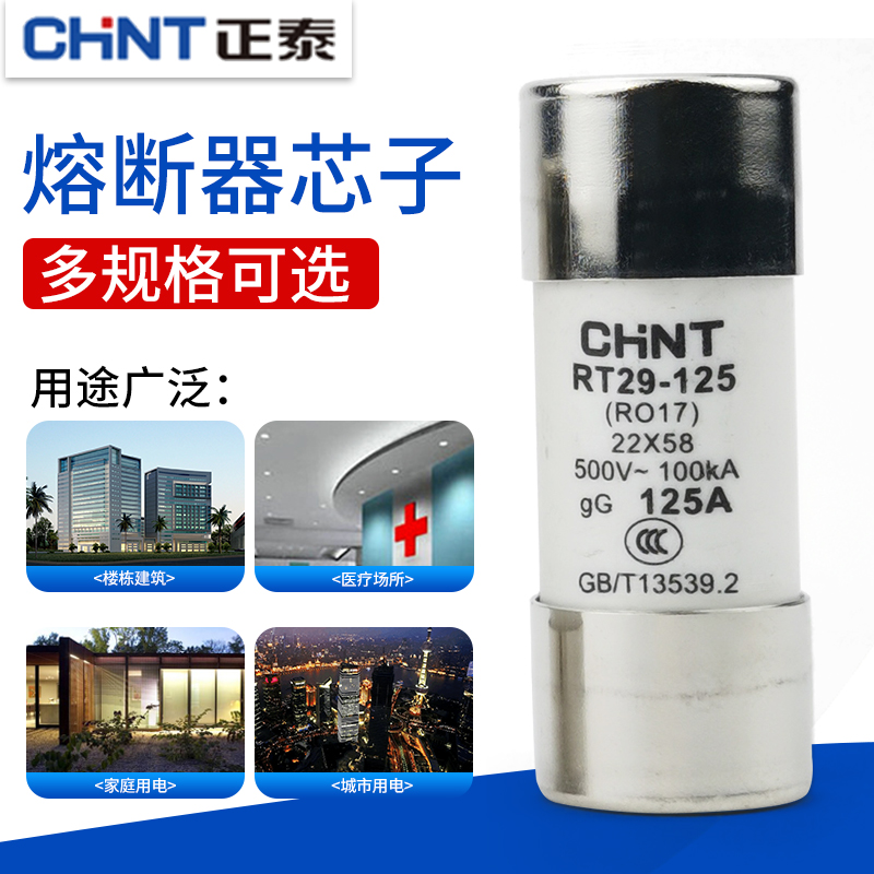 CHNT正泰RT28/29熔断器圆筒形保险丝熔芯陶瓷保险管32A63A80A125A - 图0