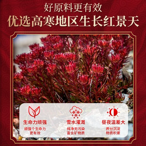 Пекин Тонгрентанг Родиола Гинзенцент Капсулы Аутентичный официальный анти-полубредный тибец Туризм Регулярный подготовка